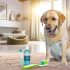 labrador tandvleesproblemen Wat Iedere Labrador Eigenaar Moet Weten