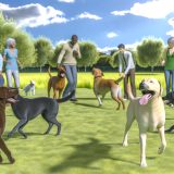 socialisatie bij volwassen labrador Alles Wat Je Moet Weten