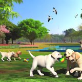 Verbeter Je Labradors Leven Met labrador socialisatie tips