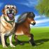 De Ultieme Gids Voor Labrador als reddingshond Bij Labradors