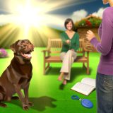 Waarom Labrador adoptietraining Belangrijk Is Voor Elke Labrador Eigenaar