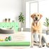 Ontdek labrador appartement ruimte-indeling Tips en Tricks Voor Labrador Liefhebbers