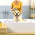 Ontdek labrador vacht droog Tips en Tricks Voor Labrador Liefhebbers