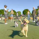 Waarom labrador socialisatie problemen Belangrijk Is Voor Elke Labrador Eigenaar