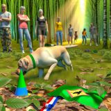 Waarom Labrador speurhond wedstrijden Belangrijk Is Voor Elke Labrador Eigenaar