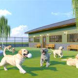 Wat Je Niet Mag Missen Over Labrador asiel Voor Labradors