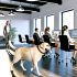 Ontdek Werkhond Labrador fokprogramma Tips en Tricks Voor Labrador Liefhebbers