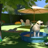 Wat Je Niet Mag Missen Over Labrador beweging hittegolf Voor Labradors