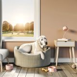 Wat Je Niet Mag Missen Over Labrador blaffen stoppen Voor Labradors