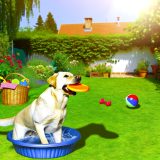 Wat Je Niet Mag Missen Over labrador gezondheid tips Voor Labradors