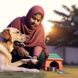 Wat Je Niet Mag Missen Over labrador nagels verzorging frequentie Voor Labradors