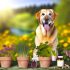 Handleiding Labrador antioxidanten supplementen Voor Een Gelukkige Labrador